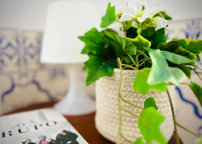 Vivenda Costa Tondela